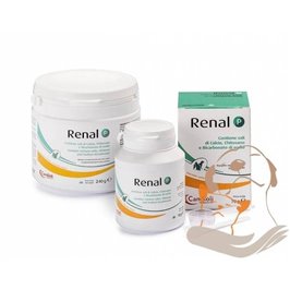RENAL P 240 GR