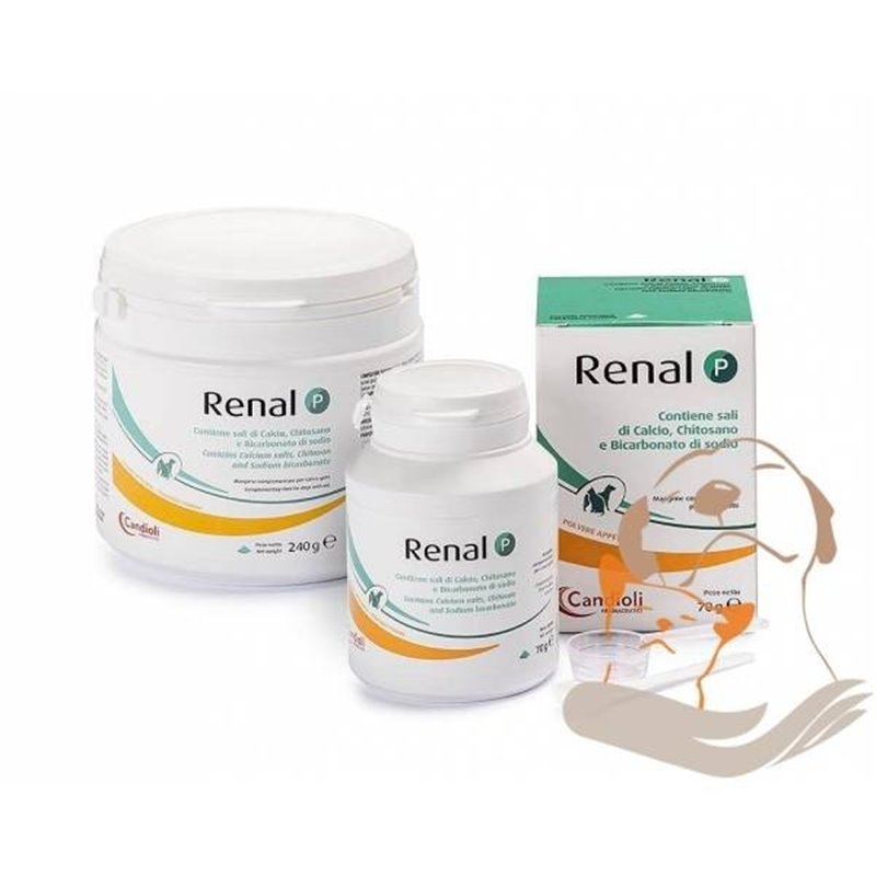 RENAL P 240 GR