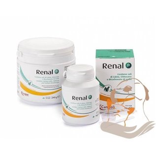RENAL P 240 GR
