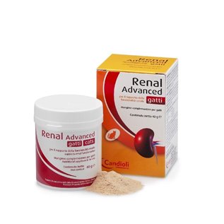 RENAL P 240 GR