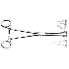 PINZA INTESTINALE BABCOCK 16 CM - LINEA FERRI TEDESCHI
