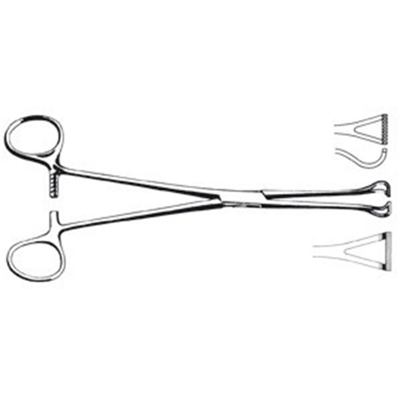 PINZA INTESTINALE BABCOCK 16 CM - LINEA FERRI TEDESCHI