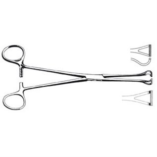 PINZA INTESTINALE BABCOCK 20 CM - LINEA FERRI TEDESCHI