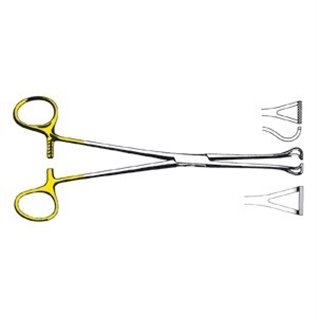 PINZA INTESTINALE BABCOCK WIDIA 16 CM - LINEA FERRI TEDESCHI