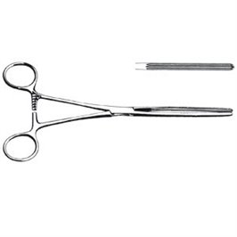 PINZA INTESTINALE KOCHER RETTA 22 CM - LINEA FERRI TEDESCHI