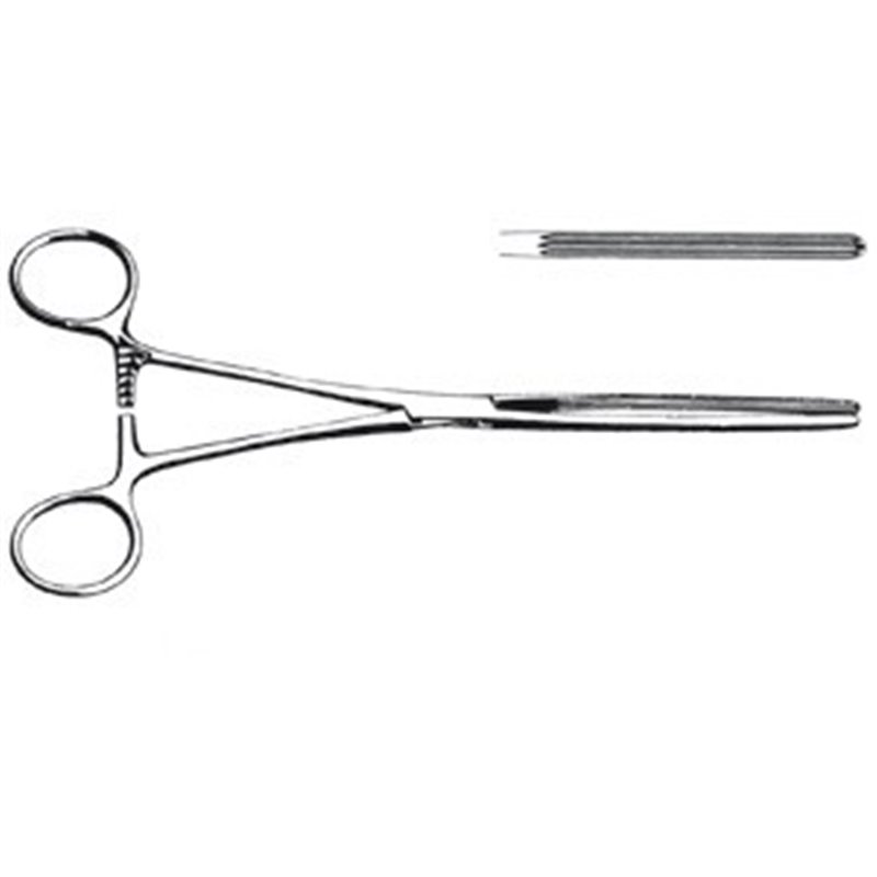 PINZA INTESTINALE KOCHER RETTA 28 CM - LINEA FERRI TEDESCHI