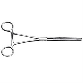 PINZA INTESTINALE KOCHER CURVA 22 CM - LINEA FERRI TEDESCHI