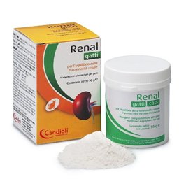 RENAL N 240 GR
