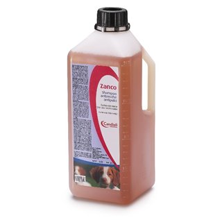 ZANCO SHAMPOO 2 LT
