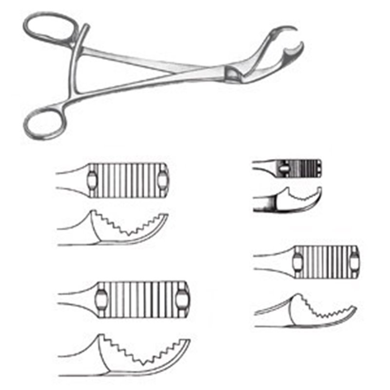 PINZA PER OSSA VERBRUGGE 17,5 CM/5 MM - LINEA FERRI TEDESCHI