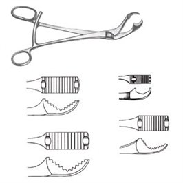 PINZA PER OSSA VERBRUGGE 27 CM/12 MM - LINEA FERRI TEDESCHI