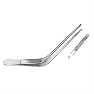 PINZA AURICOLARE TROELTSCH (WILDE) 12 CM - LINEA FERRI TEDESCHI