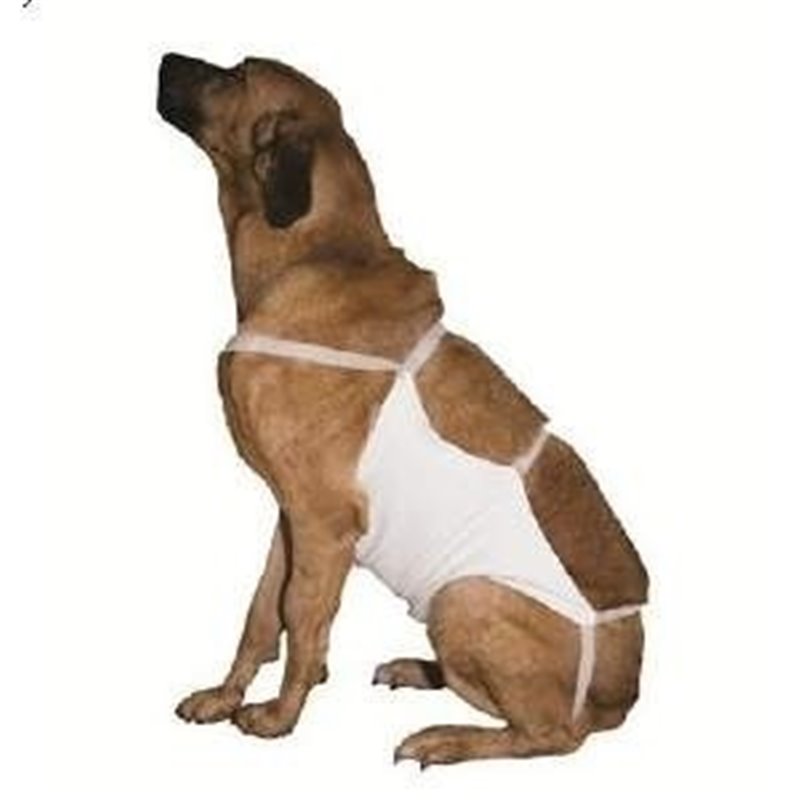 BENDAGGIO ADDOMINALE CON VELCRO N. 6 61 x 48 CM - KRUUSE