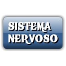 SHAMPOO MOUSSE A SECCO GATTI S&B