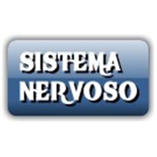 SHAMPOO MOUSSE A SECCO GATTI S&B