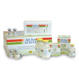 AD LIVE SUIVAX 10 DS F