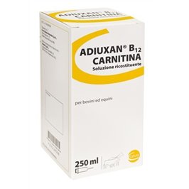 ADIUXAN B12 CARN. FL 250 ML