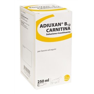 ADIUXAN B12 CARN. FL 250 ML