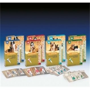 ADVOCATE S.O. GATTI 2X0.8ML 4-8KG