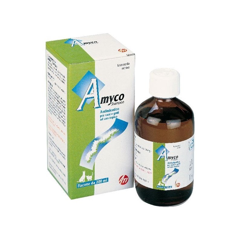 AMYCO SHAMPOO 200 ML