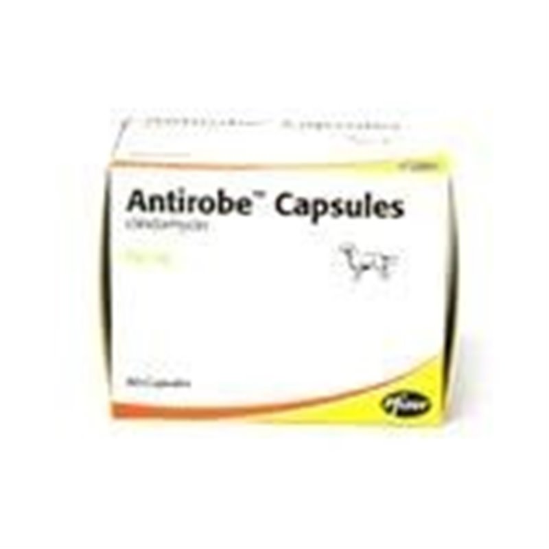 ANTIROBE 16 CPS 150 MG