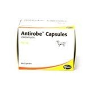 ANTIROBE 16 CPS 150 MG