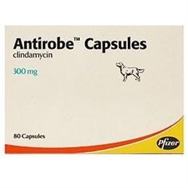 ANTIROBE 16 CPS 300 MG