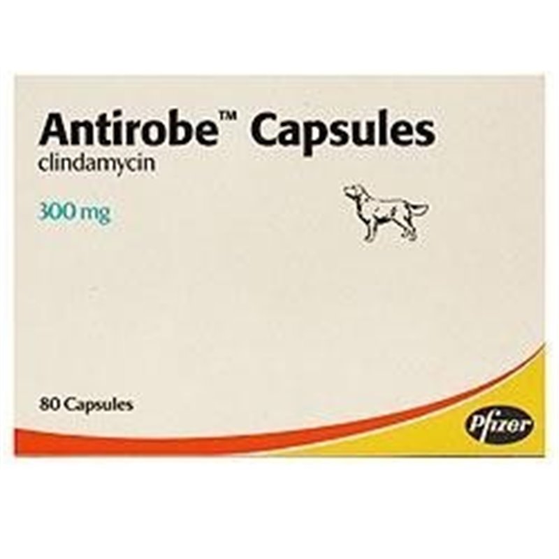 ANTIROBE 16 CPS 300 MG ANTIROBE 16 CPS 300 MG