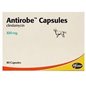 ANTIROBE 16 CPS 300 MG ANTIROBE 16 CPS 300 MG