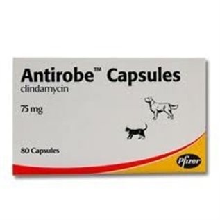 ANTIROBE 16 CPS 75 MG