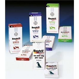 BAYTRIL 250 MG 12 CPR FLAVOR