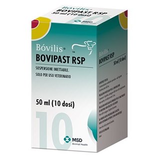 BOVILIS BOVIPAST RSP 50 ML 10 DS  F