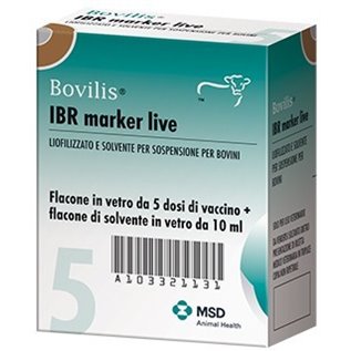 BOVILIS IBR MARKER 5 DS LIVE           F