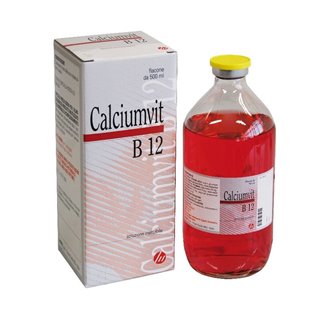 CALCIUMVIT B12 FL 500 ML