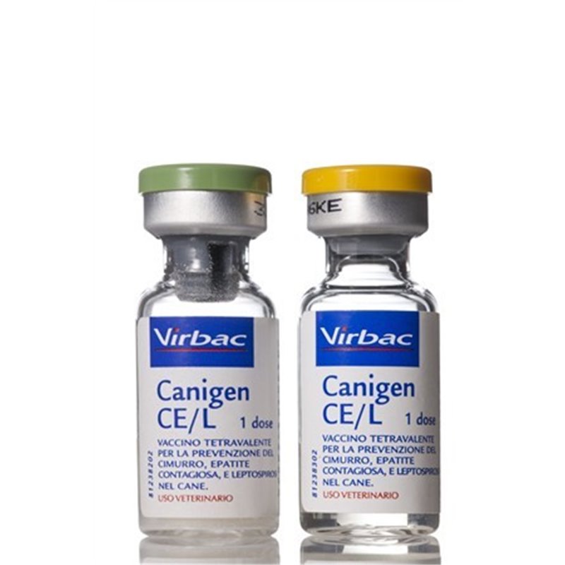 CANIGEN CEL 1DS                   F