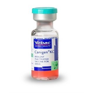 CANIGEN CEL 1DS                   F