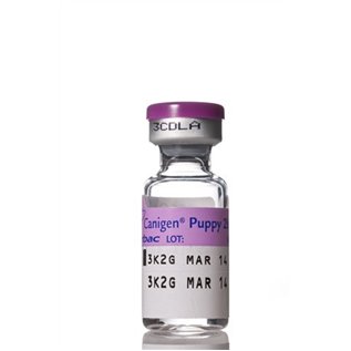 CANIGEN PUPPY 2B 10 DS