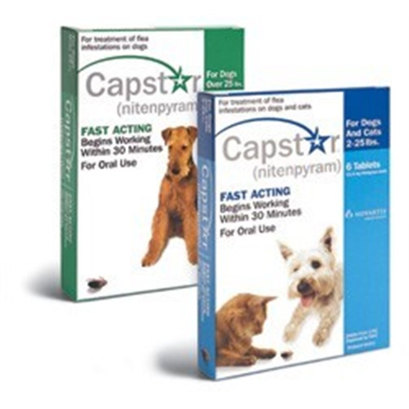 CAPSTAR 57 MG 6 CPR