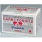 CARNITON B12 20 BS 25 GR CAVALLI