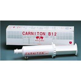 CARNITON B12 PASTA OS 1 SIR.CAVALLI