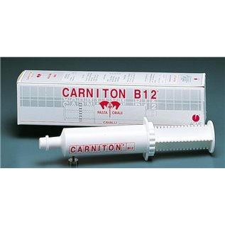 CARNITON B12 PASTA OS 1 SIR.CAVALLI