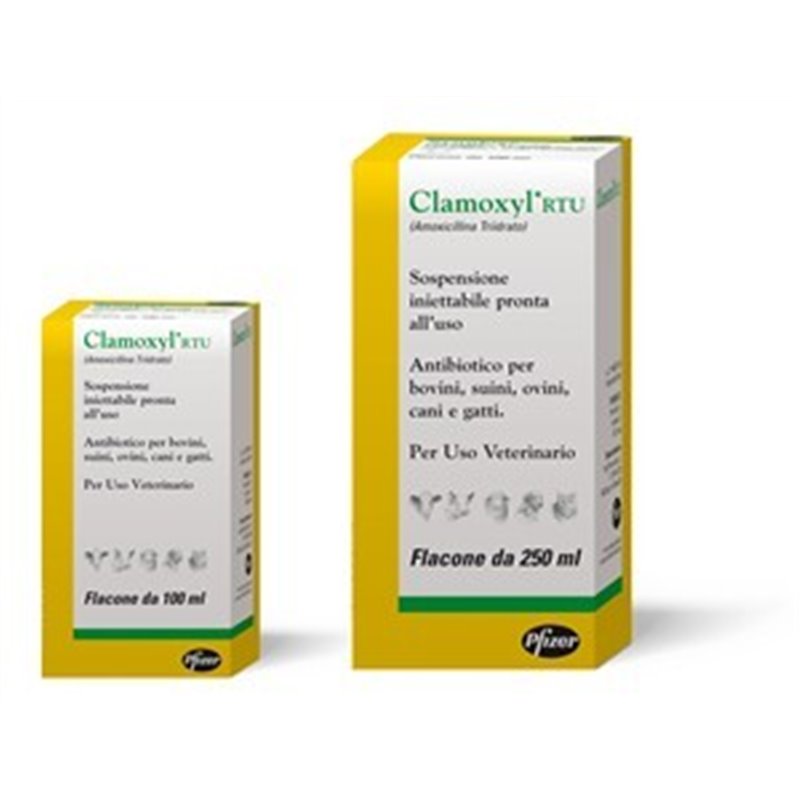 CLAMOXYL RTU FL 250 ML