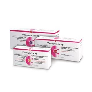 CLAVASEPTIN 250 MG