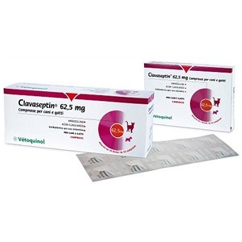 CLAVASEPTIN 62,5 MG