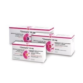 CLAVASEPTIN 500 MG