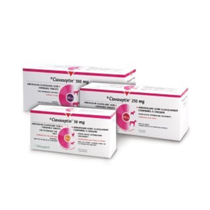 CLAVASEPTIN 500 MG CLAVASEPTIN 500 MG