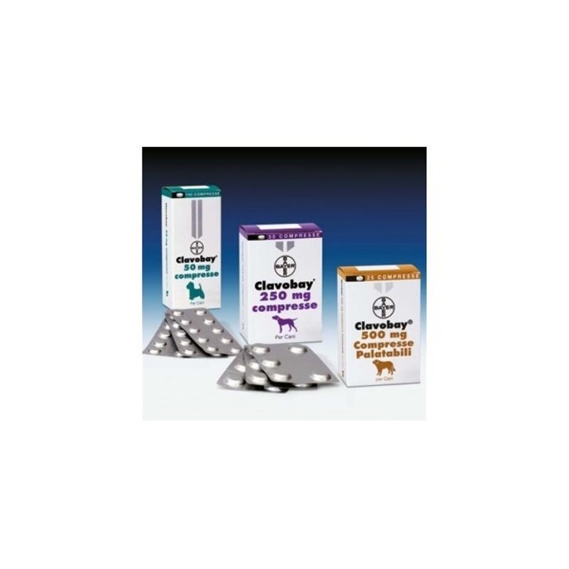 CLAVOBAY 250 MG 250 CPR