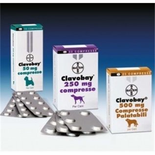 CLAVOBAY 50 MG 20 CPR