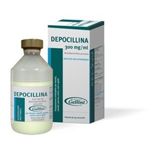 DEPOCILLINA FL 250 ML F