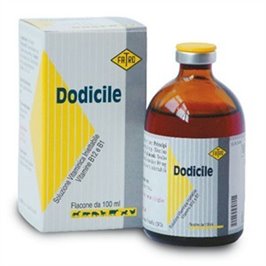 DODICILE FL 100 ML